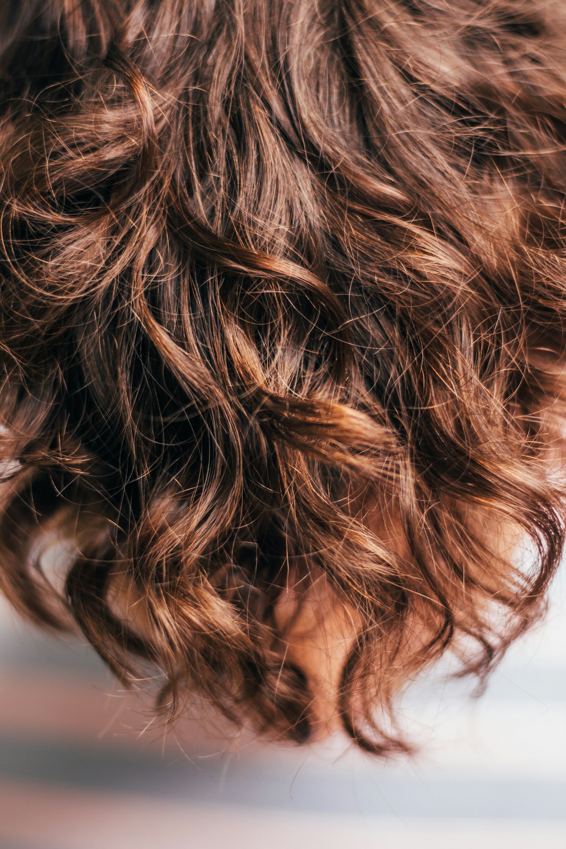 Curlz by Kendra